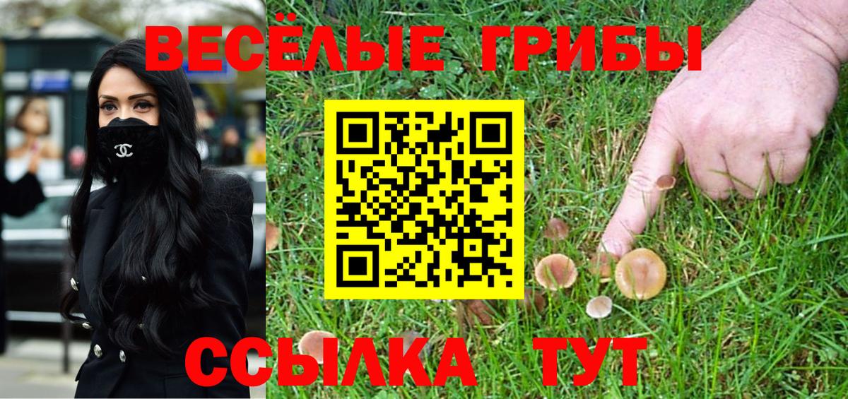 Галлюциногенные грибы GOLDEN TEACHER Братск