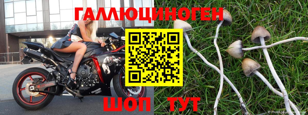 Галлюциногенные грибы мухоморы  Псилоцибиновые грибы Psilocybine cubensis  Вход с VPN  Братск 